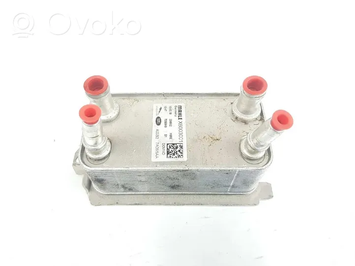 Land Rover Range Rover Sport L494 Radiatore del servosterzo AW837A095AA