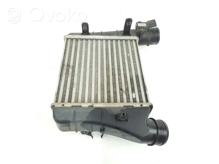 Seat Exeo (3R) Radiatore intercooler 8E0145805AA