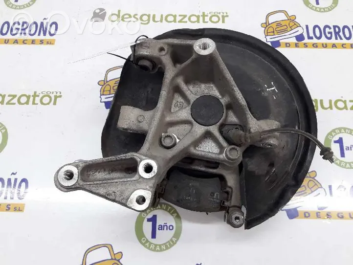 Volkswagen Tiguan Fuso a snodo con mozzo ruota posteriore 3C0505434K