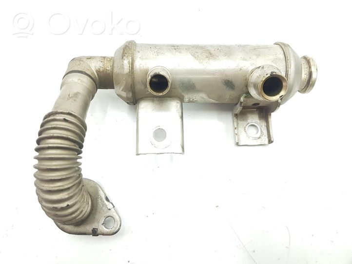 Ford Connect EGR-venttiili/lauhdutin 1700025