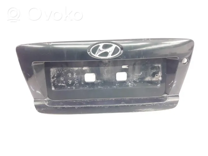 Hyundai Terracan Moulure 87311H1500