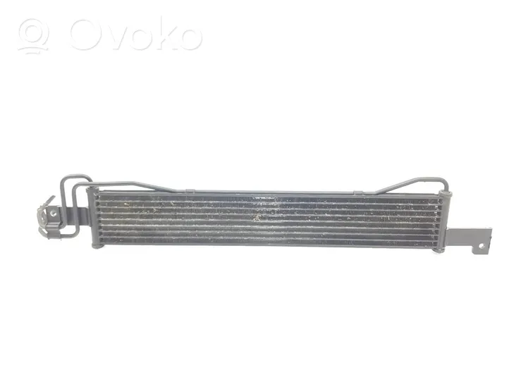 Hyundai Santa Fe Radiateur de direction assistée 254602B100