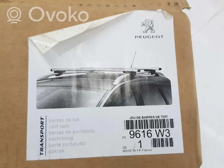 Peugeot 307 Kattokisko 9616W3