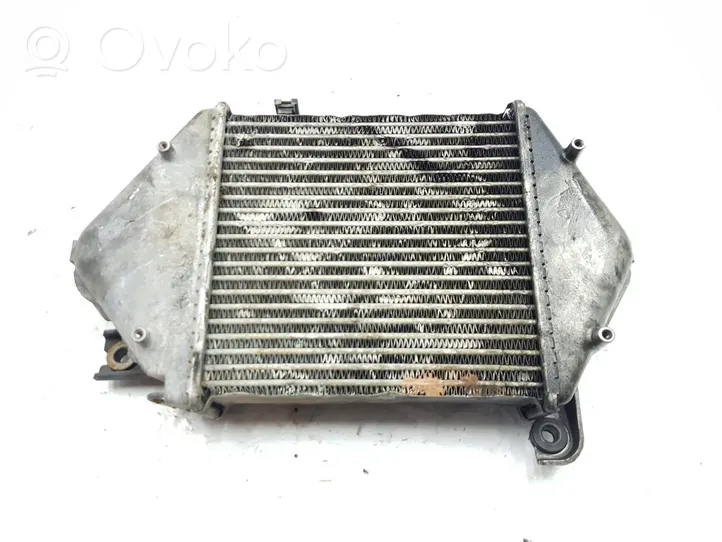 Nissan PickUp Chłodnica powietrza doładowującego / Intercooler 144617F404