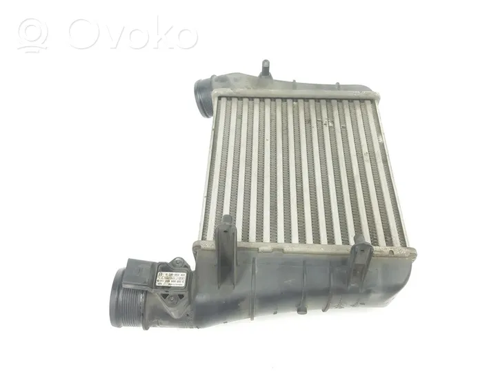 Seat Exeo (3R) Radiatore intercooler 8E0145805AA