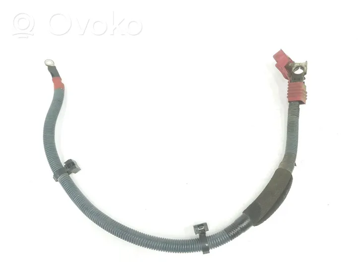 Toyota Land Cruiser (J120) Pliusinis laidas (akumuliatoriaus) 8212460120