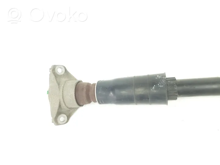 Audi A4 S4 B9 Ammortizzatore posteriore con molla elicoidale 8W0513035P