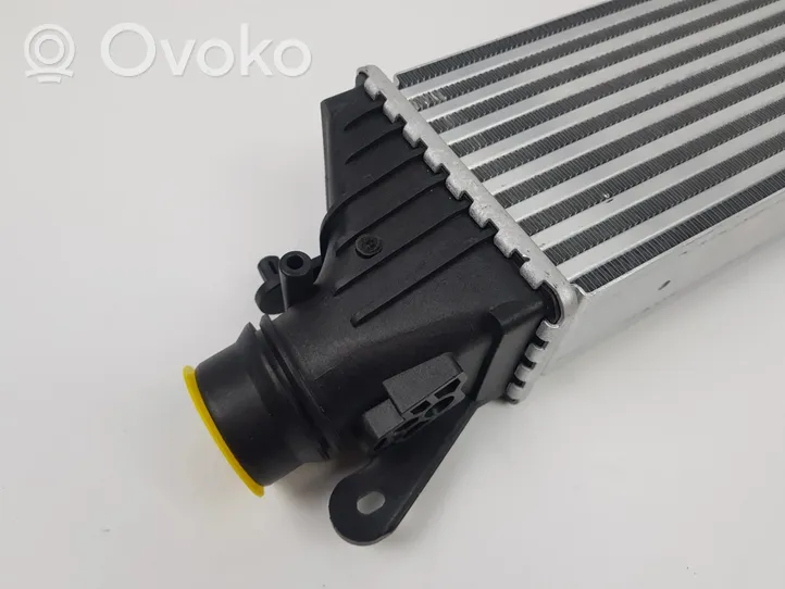 Opel Corsa E Chłodnica powietrza doładowującego / Intercooler 134402061302312