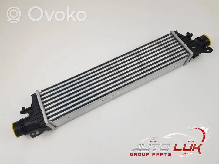 Opel Corsa E Chłodnica powietrza doładowującego / Intercooler 134402061302312