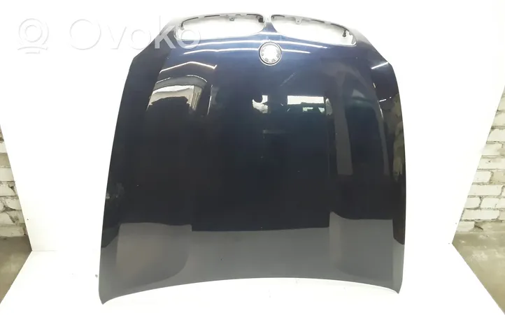 BMW X5 E70 Engine bonnet/hood 