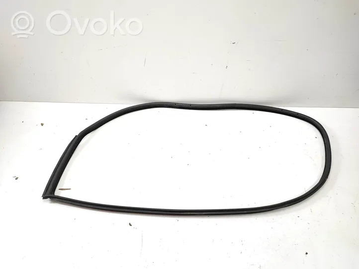 BMW 3 E92 E93 Priekinė sandarinimo guma ant kėbulo 7119091