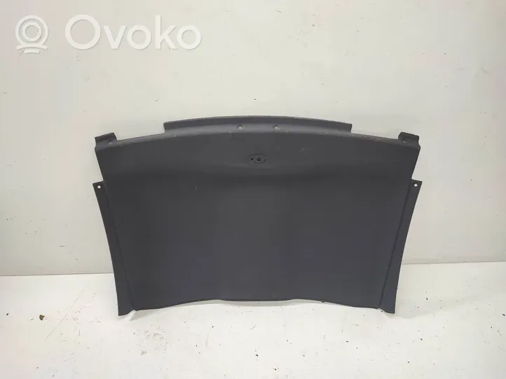 BMW 3 E92 E93 Headlining 3001705600