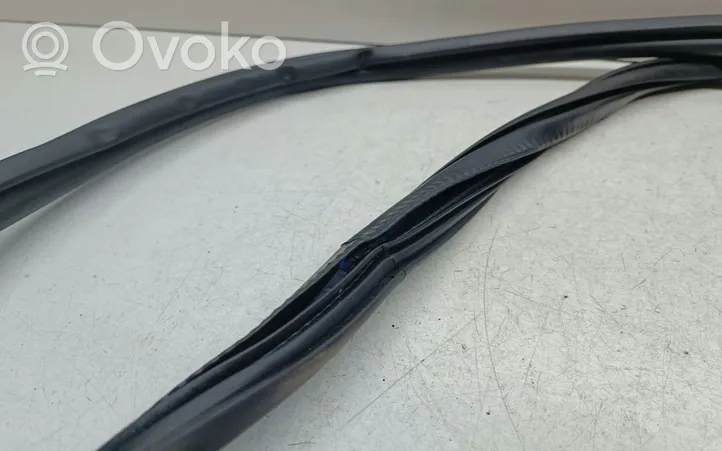 Audi A6 S6 C7 4G Front door rubber seal 