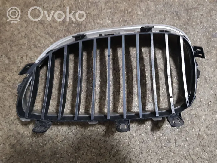 BMW 5 E60 E61 Front grill 51137027062