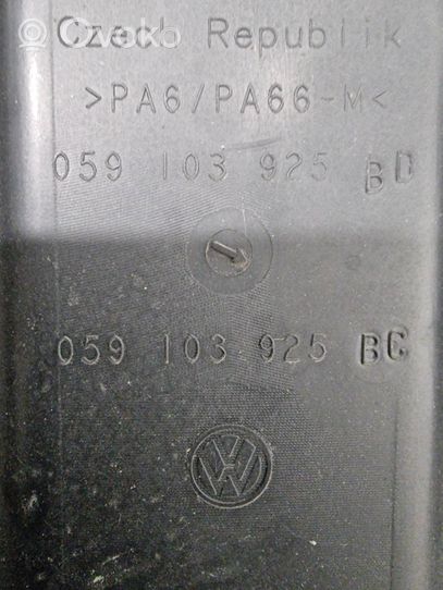 Volkswagen Touareg II Variklio dangtis (apdaila) 059103925B