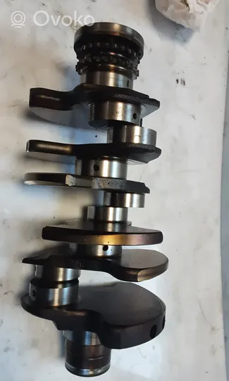 Audi A6 S6 C6 4F Crankshaft 06E101P