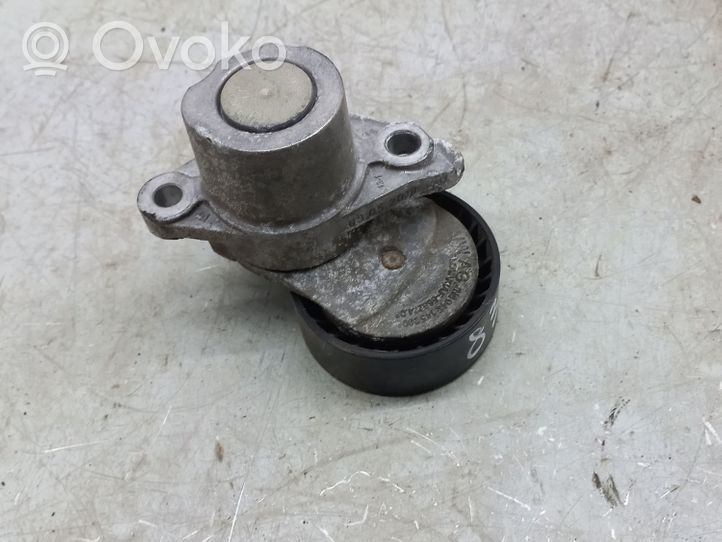 Volkswagen Jetta USA Napinacz paska alternatora 04E145209