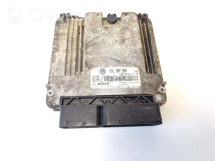 Volkswagen PASSAT CC Sterownik / Moduł ECU 03L907309