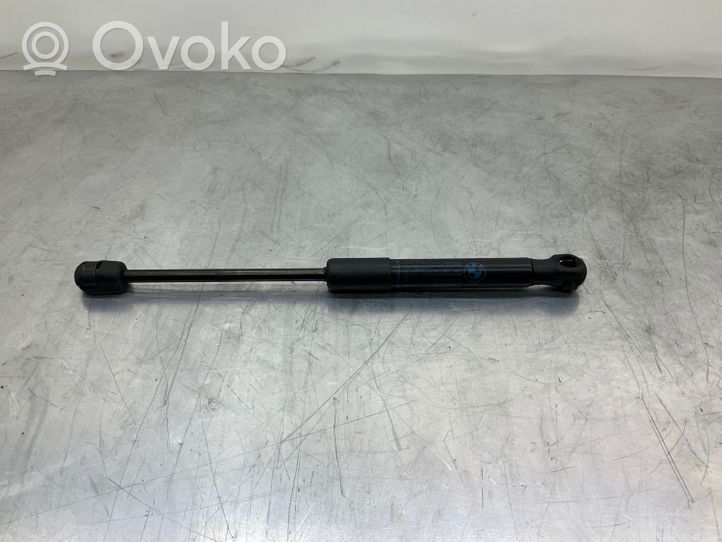 BMW 7 F01 F02 F03 F04 Ammortizzatore portellone anteriore/cofano 7185032