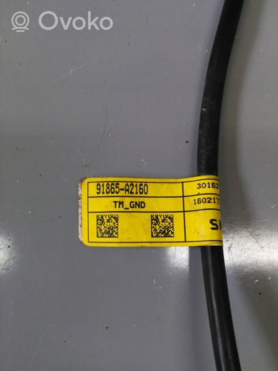 KIA Ceed Câble négatif masse batterie 91865A2160