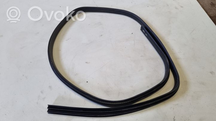 Ford Focus Rubber seal front coupe door 