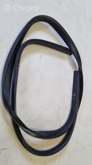 Ford Focus Rubber seal front coupe door 