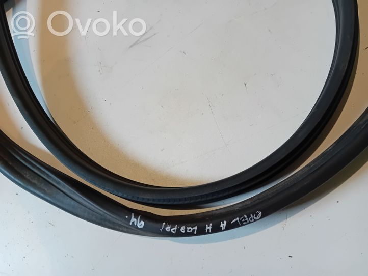 Opel Astra H Front door rubber seal 