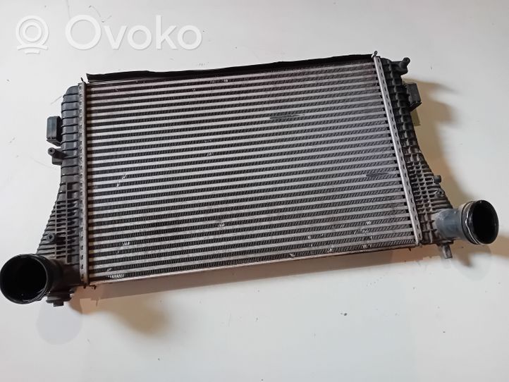 Volkswagen PASSAT B6 Radiateur de refroidissement 