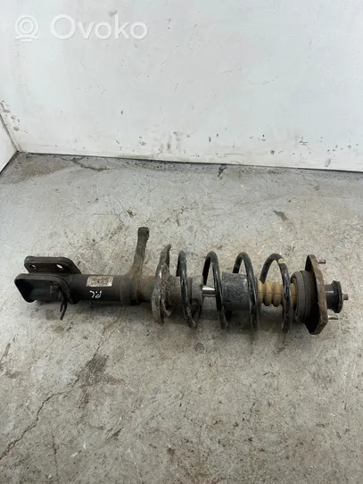 Lada Kalina I Front shock absorber with coil spring 