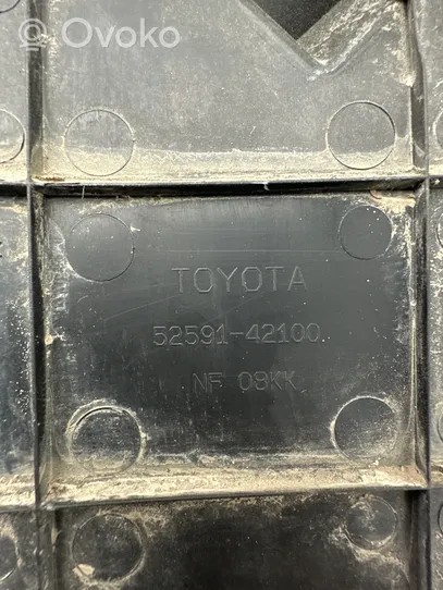 Toyota RAV 4 (XA50) Schmutzfänger Spritzschutz hinten 5259142100