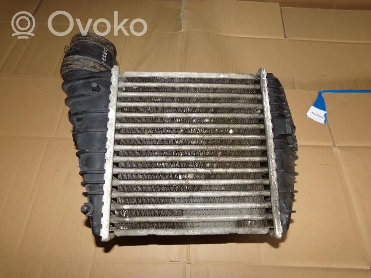 Seat Leon (1M) Chłodnica powietrza doładowującego / Intercooler 