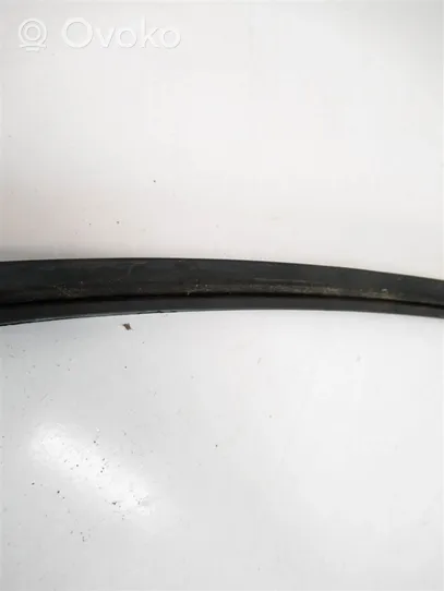 BMW 3 E30 Rubber seal front door (on door) 