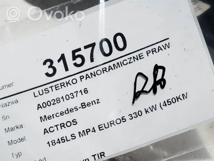 Mercedes-Benz Actros Elektryczne lusterko boczne drzwi przednich A0028103716