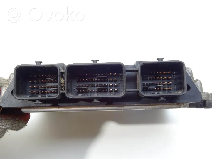 Nissan Primera Unité de commande, module ECU de moteur 0281011646