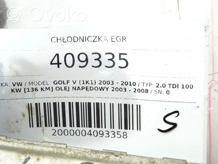 Volkswagen Golf V Chłodnica spalin EGR 03G131513J