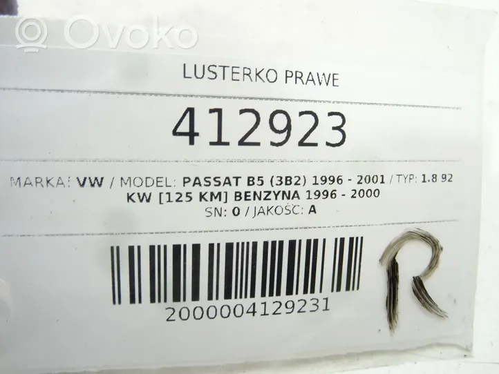 Volkswagen PASSAT B5 Elektryczne lusterko boczne drzwi przednich 