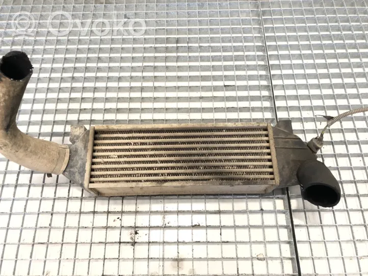 Ford Transit Chłodnica powietrza doładowującego / Intercooler 1C159L440BE