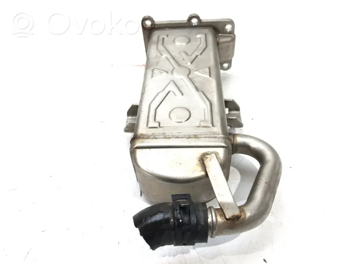 Volkswagen Golf VI EGR valve cooler 