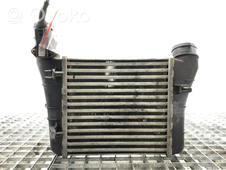 Seat Exeo (3R) Chłodnica powietrza doładowującego / Intercooler 