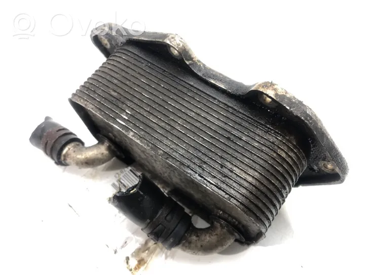 Audi A6 S6 C6 4F Radiador del aceite del motor 06E117021G