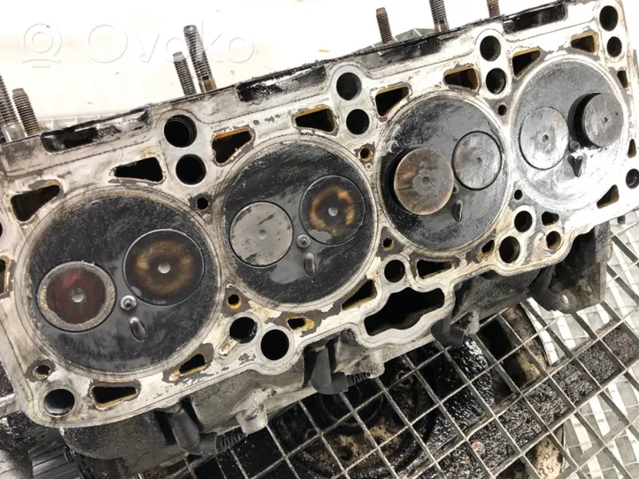 Volkswagen PASSAT B5.5 Engine head 