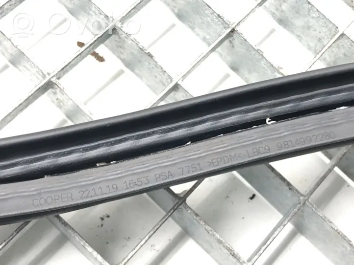 Opel Grandland X Rubber seal front door (on door) 9814992280