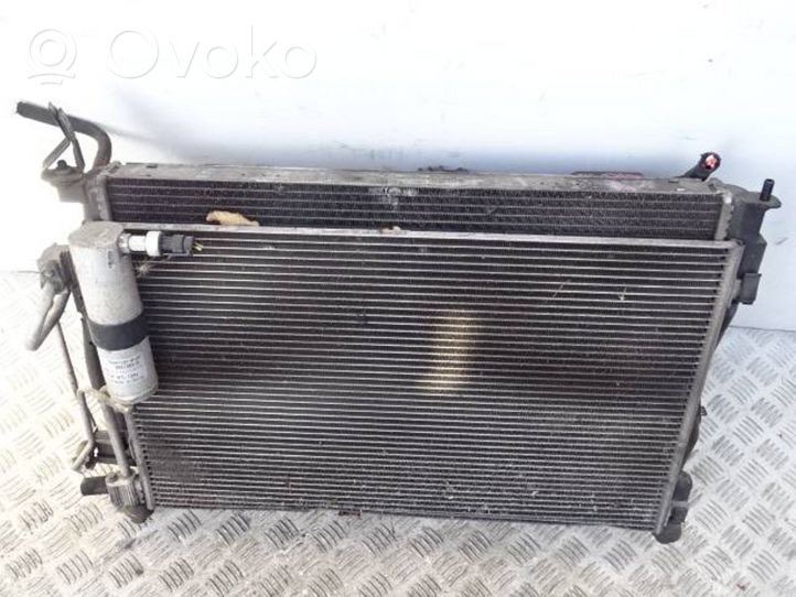 Nissan Qashqai Jäähdyttimen lauhdutin 21410JD51B