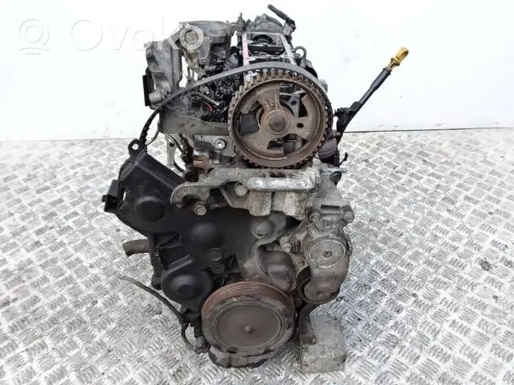 Ford Focus Moteur T1DB