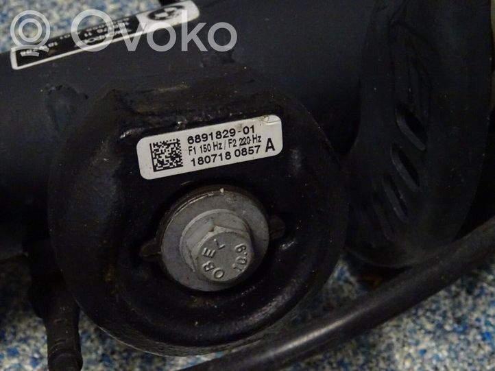 6895056 BMW 3 G20 G21 Front shock absorber with coil spring 