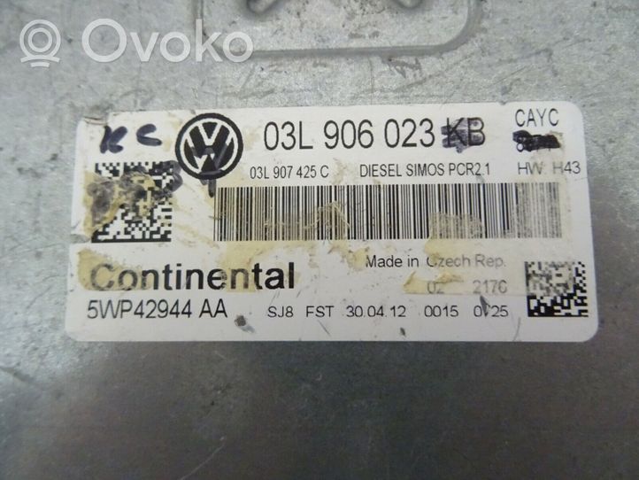 Volkswagen Beetle A5 Engine control unit/module 03L906023KB