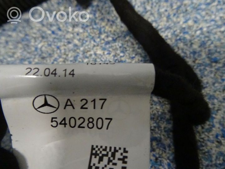 Mercedes-Benz S C217 Faisceau de câblage de porte avant 2175402807