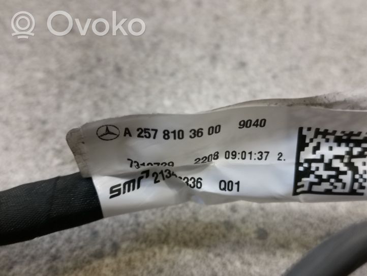 Mercedes-Benz CLS C257 Elektryczne lusterko boczne drzwi przednich A2578103600