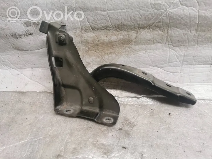 Mercedes-Benz B W246 W242 Engine bonnet/hood hinges A2468800428