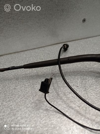 Peugeot 307 Radio antena 723847001